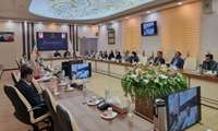 مقابله با خطر پشه آئدس، نیازمند همکاری برون بخشی در بهسازی محیط است
